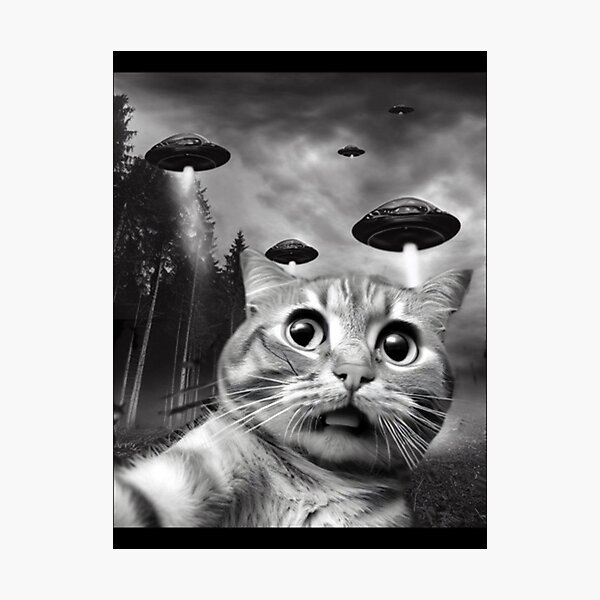 Item preview, Womens Funny Cat Selfie With Ufos designed and sold by MarkYounger.