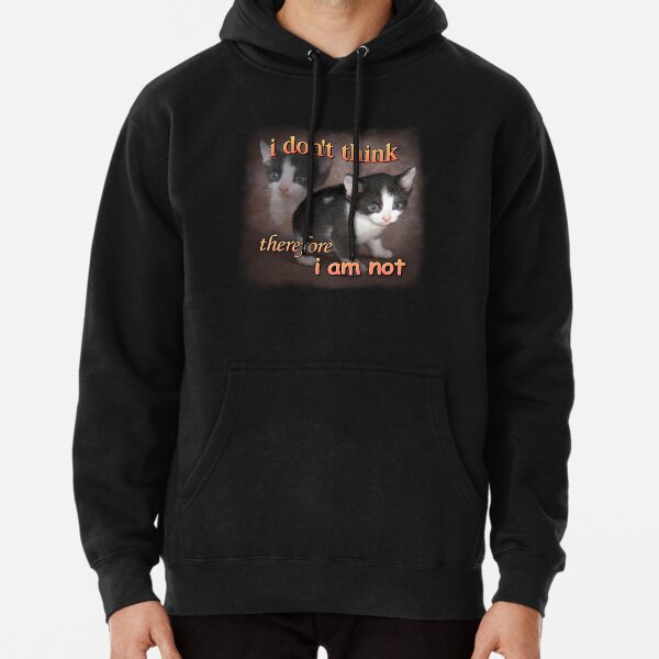 I am 2025 a cat hoodie