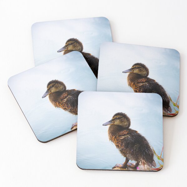 Item preview, Duckling Next to Pond designed and sold by CharlieCantrill.