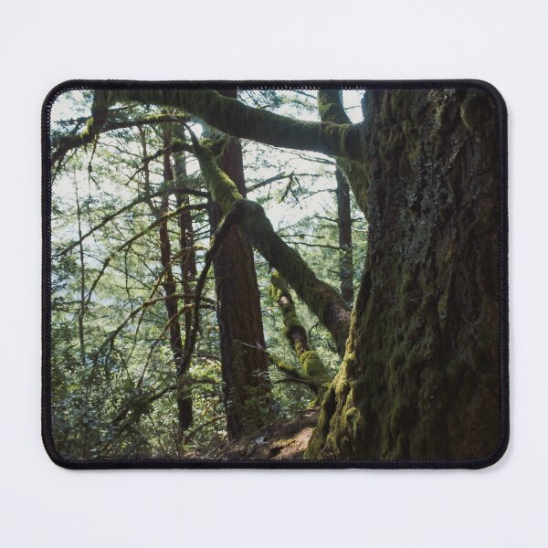 Item preview, Dark trees in the forest trail path designed and sold by Fenderbender00.