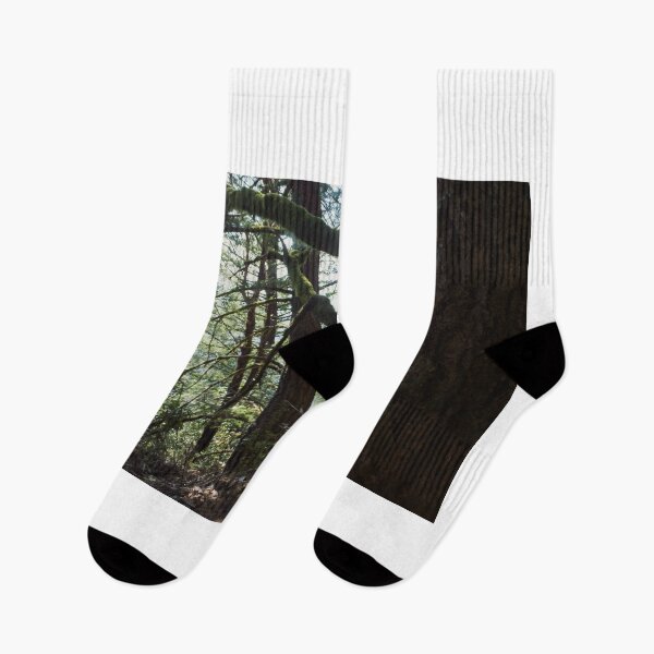 Item preview, Dark trees in the forest trail path designed and sold by Fenderbender00.