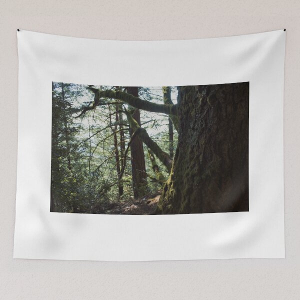 Item preview, Dark trees in the forest trail path designed and sold by Fenderbender00.