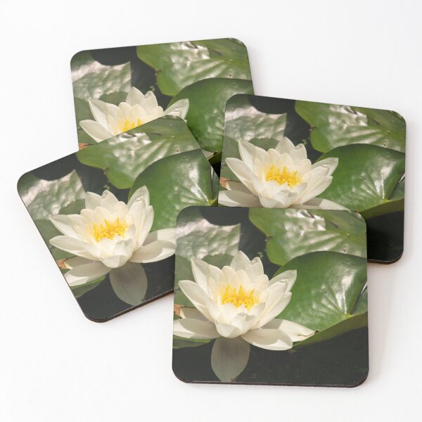 Item preview, Lily pad with white flower designed and sold by CharlieCantrill.