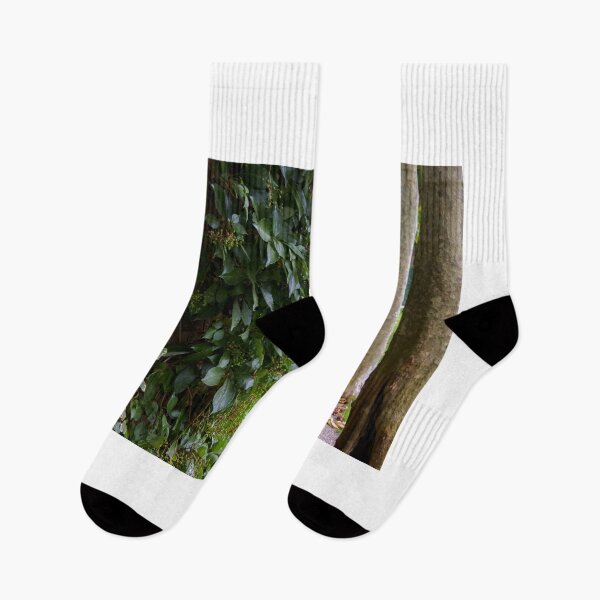 Item preview, Narrow walkway between ivy and trees designed and sold by Fenderbender00.