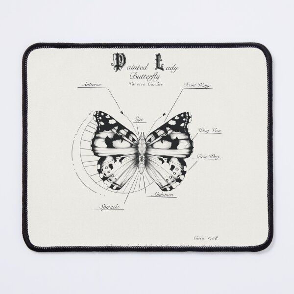 Item preview, Painted Lady Diagram designed and sold by VoidArtStudios.