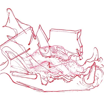 Artwork thumbnail, Jaws and angles by Riley-Racoon