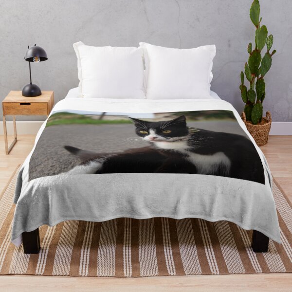 Item preview, cat designed and sold by guyfrompoland.