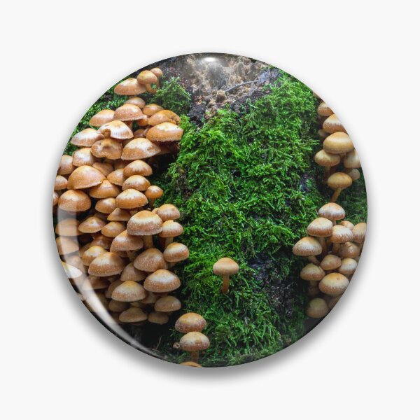 Item preview, Micro Colonies designed and sold by Paul Barnett.
