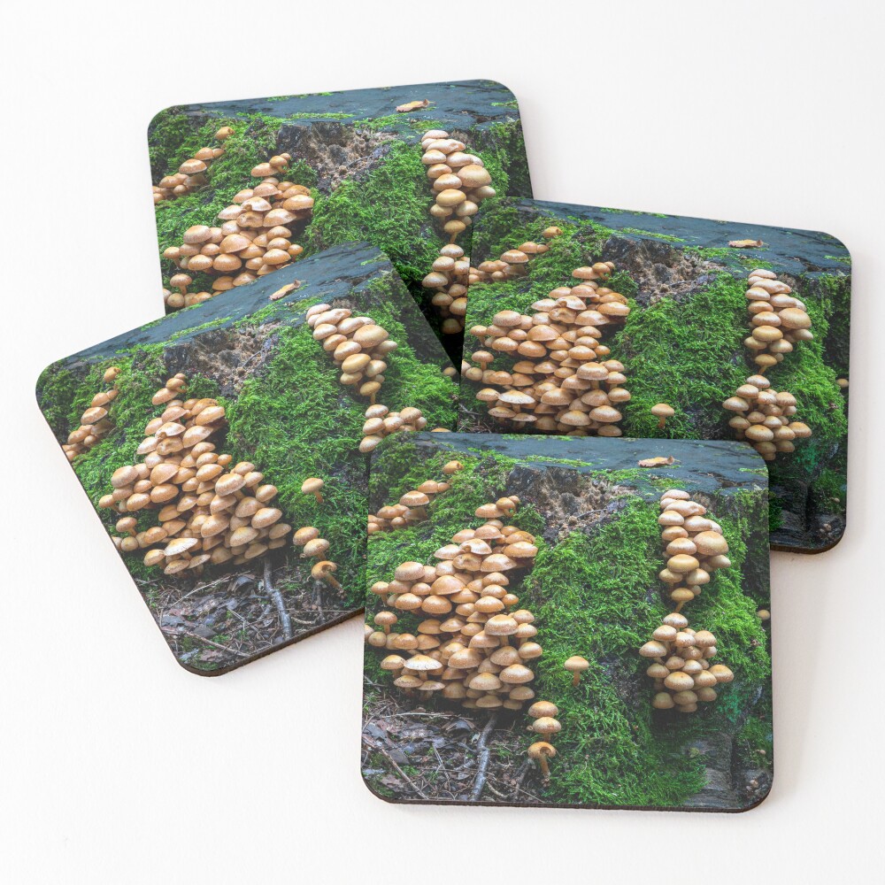 Item preview, Coasters (Set of 4) designed and sold by Digzby.