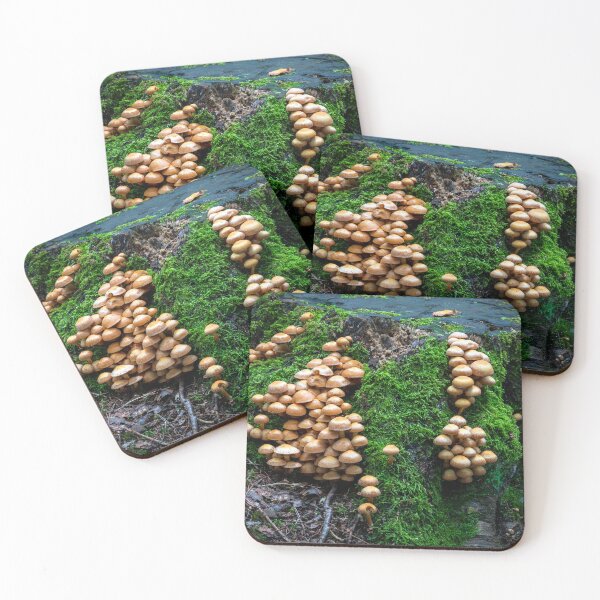 Item preview, Micro Colonies designed and sold by Paul Barnett.