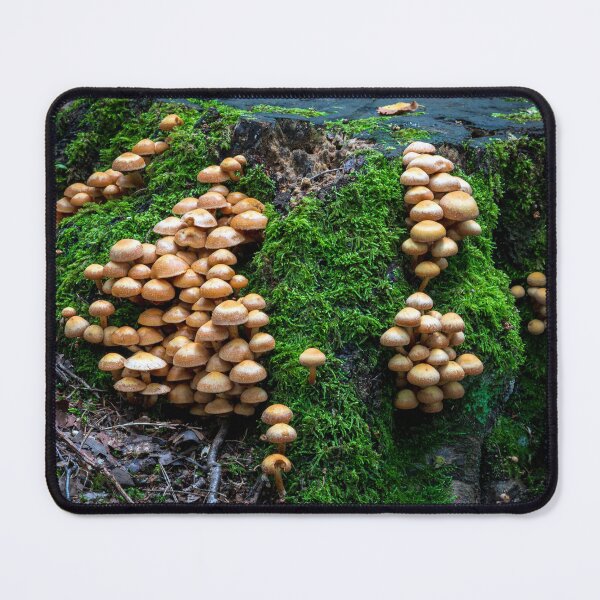 Item preview, Micro Colonies designed and sold by Paul Barnett.