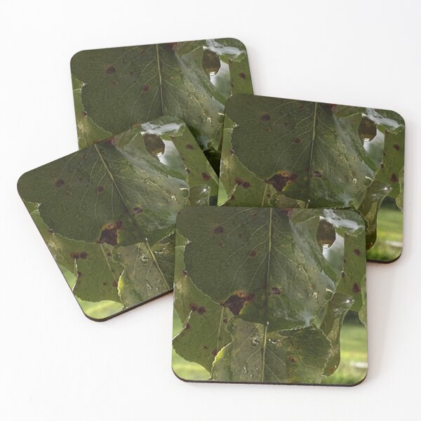 Item preview, Wet Pear Leaf in the Rain designed and sold by CJRPics.