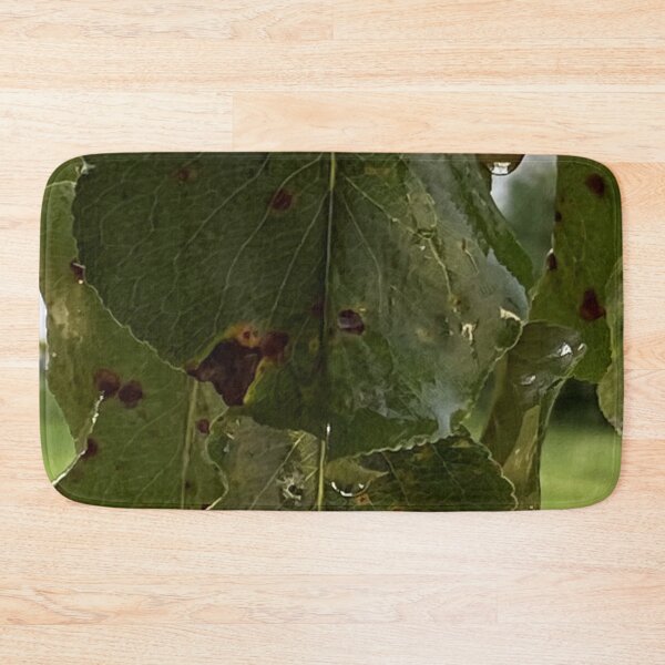 Item preview, Wet Pear Leaf in the Rain designed and sold by CJRPics.