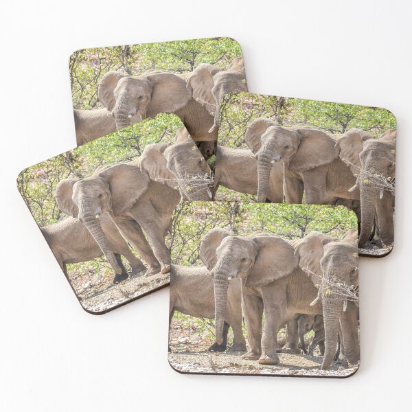 Item preview, Desert Elephants of Damaraland, Namibia designed and sold by Belinda Greb Photography.
