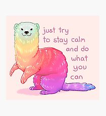 "Just Try to Stay Calm" Rainbow Ferret Photographic Print