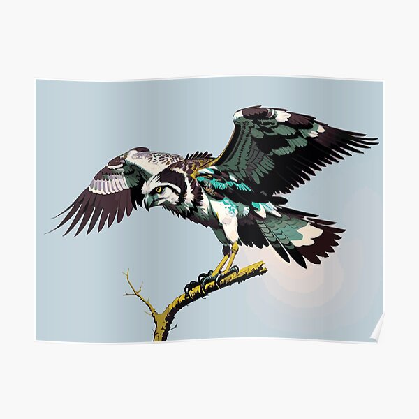 335 Seahawk Bird Images, Stock Photos & Vectors