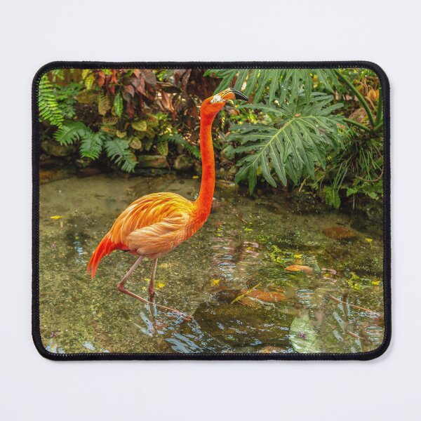 Item preview, The Flamingo designed and sold by Kay Brewer.