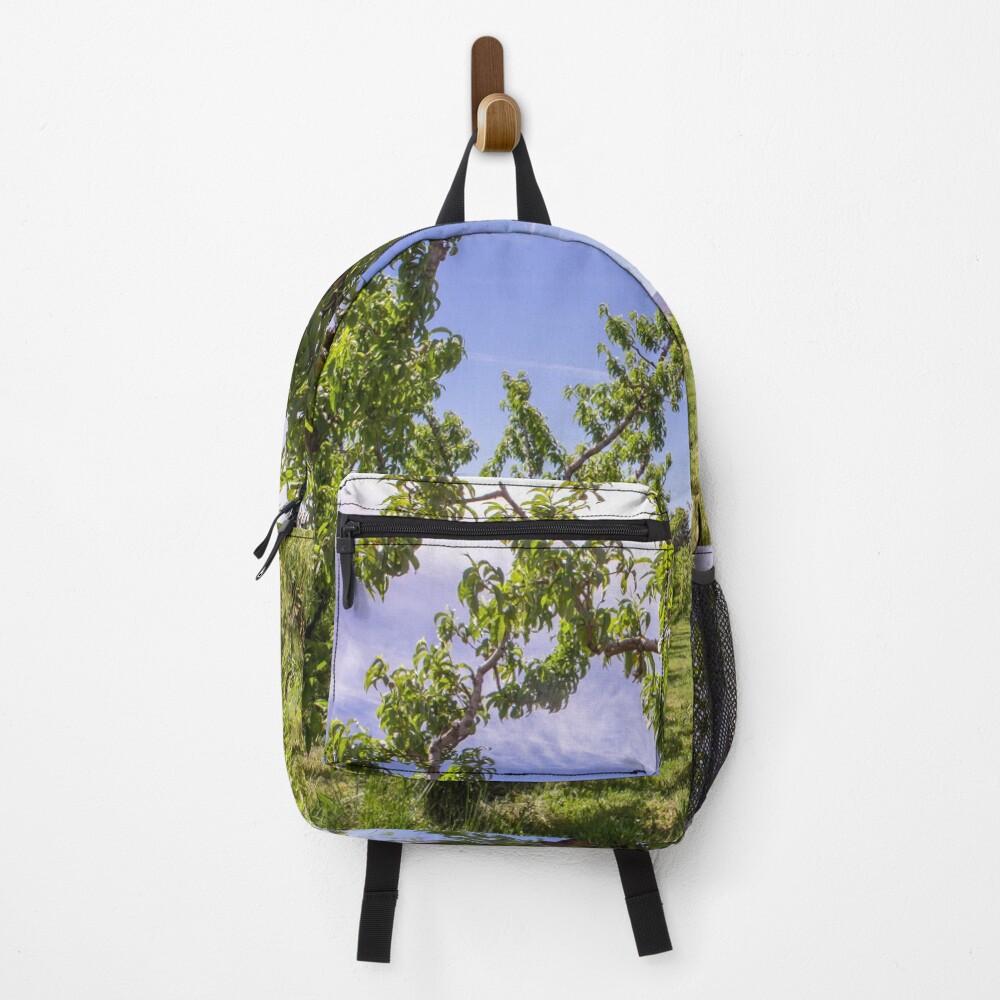 Item preview, Backpack designed and sold by BirdsEyePhoto.