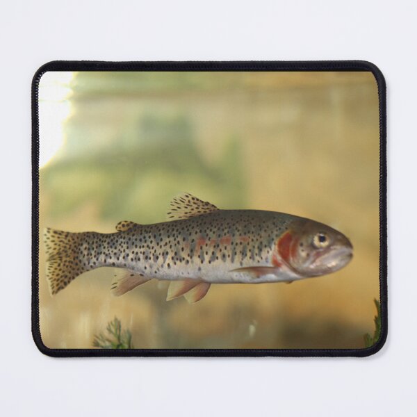 Item preview, Greenback Cutthroat Trout designed and sold by craftsbydaphy.