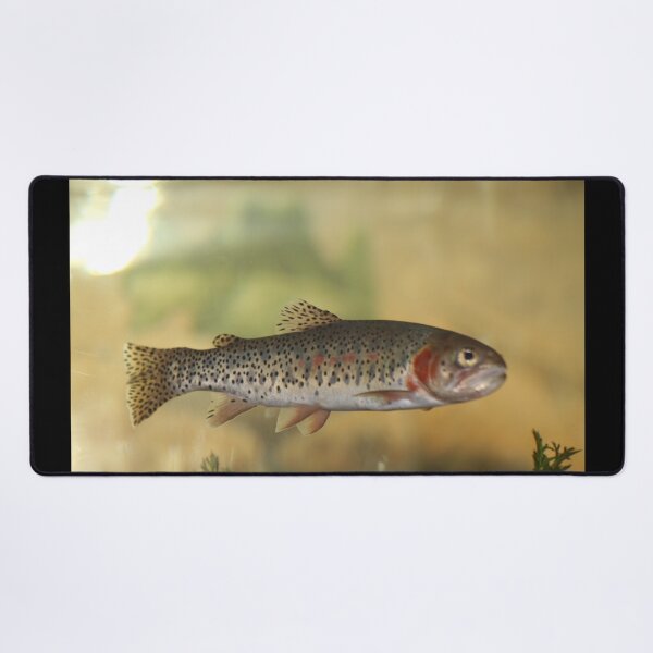 Item preview, Greenback Cutthroat Trout designed and sold by craftsbydaphy.