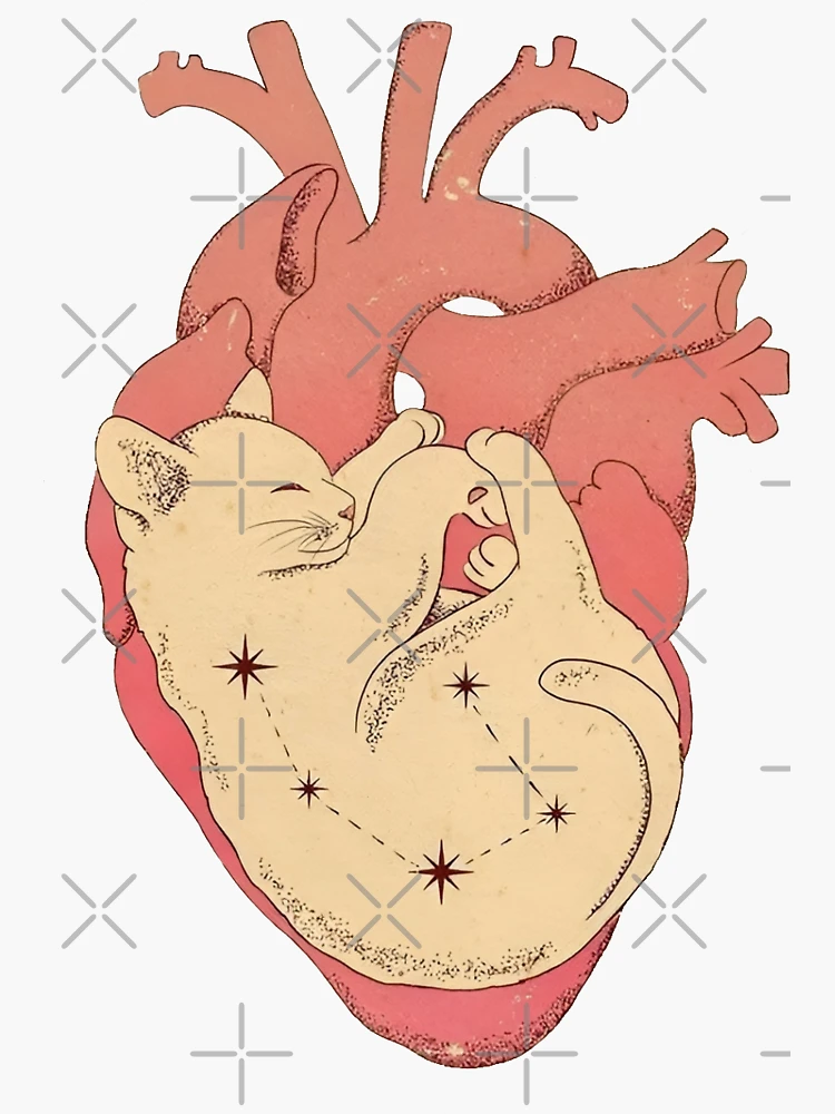 Cat－Shaped Hole in My Heart