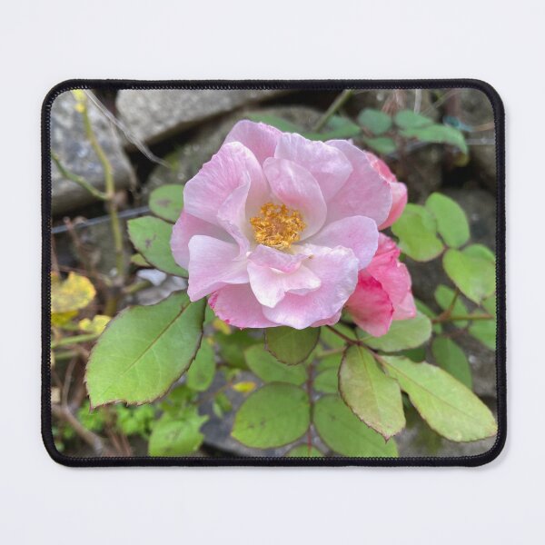 Item preview, Rose-y Pink designed and sold by EmmelineKlatt.