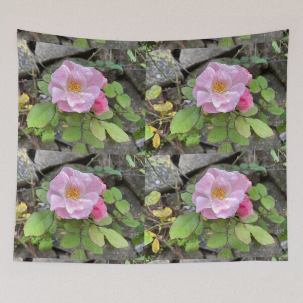 Item preview, Rose-y Pink designed and sold by EmmelineKlatt.