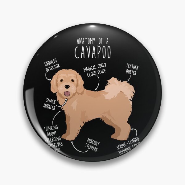 Item preview, Cavapoo Dog Anatomy designed and sold by Clara Hollins.