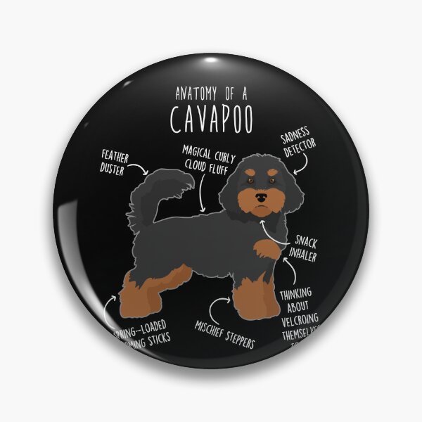 Item preview, Black and Tan Cavapoo Dog Anatomy designed and sold by Clara Hollins.