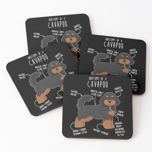 Item preview, Black and Tan Cavapoo Dog Anatomy designed and sold by Clara Hollins.