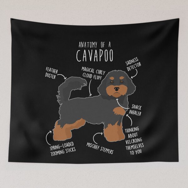 Item preview, Black and Tan Cavapoo Dog Anatomy designed and sold by Clara Hollins.
