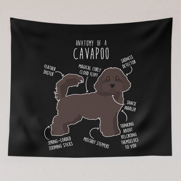 Item preview, Chocolate Cavapoo Dog Anatomy designed and sold by Clara Hollins.