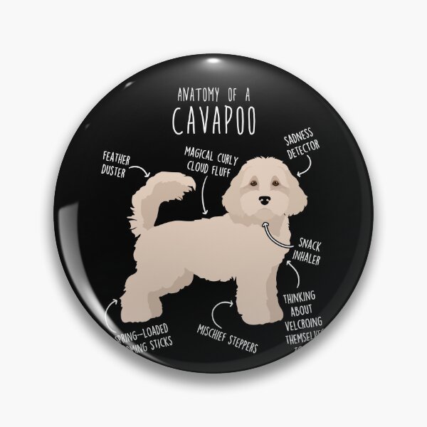 Item preview, Cavapoo Dog Anatomy designed and sold by Clara Hollins.