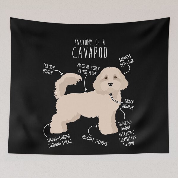 Item preview, Cavapoo Dog Anatomy designed and sold by Clara Hollins.