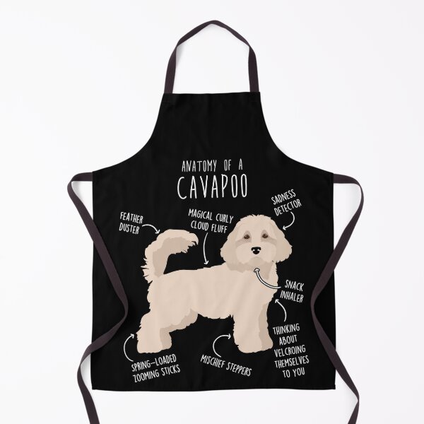 Item preview, Cavapoo Dog Anatomy designed and sold by Clara Hollins.