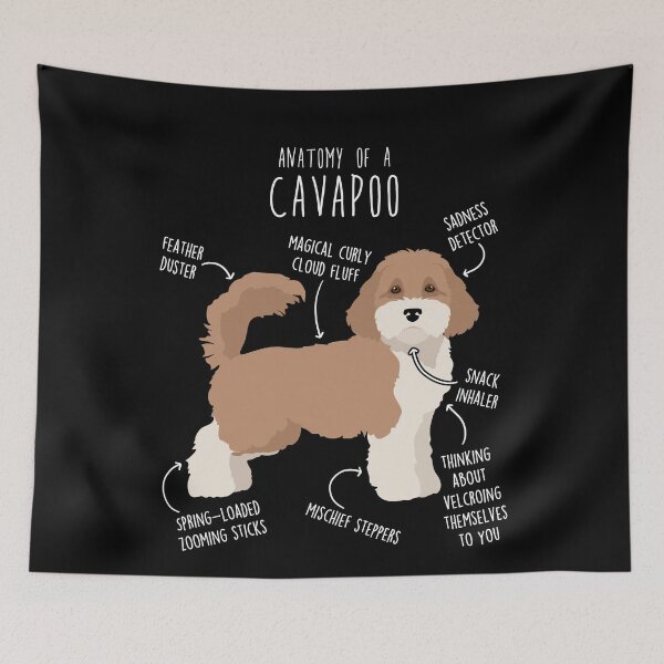 Item preview, Parti Cavapoo Dog Anatomy designed and sold by Clara Hollins.