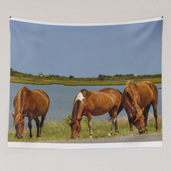 Item preview, Wild horses, Assateague, three wild horses, island, water, bay,animals,wild animals, brown horses designed and sold by Sonya Umble.