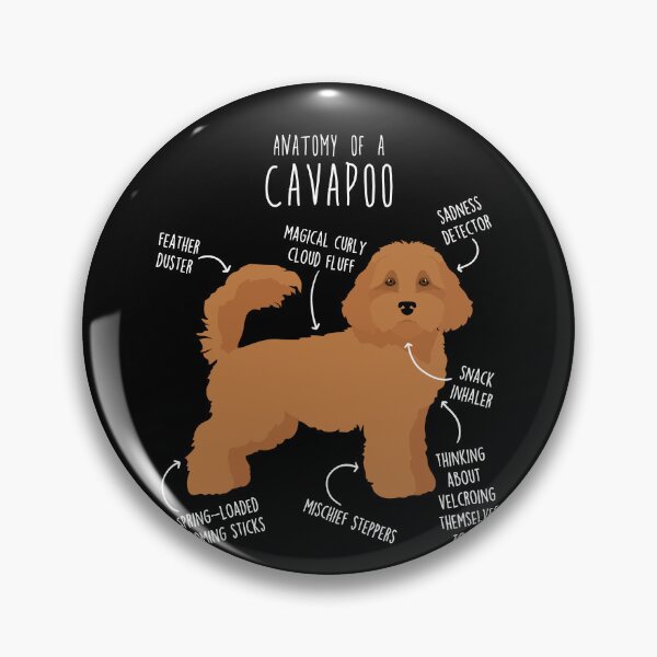Item preview, Cavapoo Dog Anatomy designed and sold by Clara Hollins.