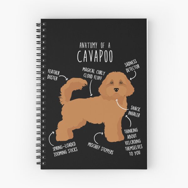 Item preview, Cavapoo Dog Anatomy designed and sold by Clara Hollins.