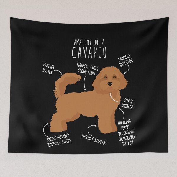 Item preview, Cavapoo Dog Anatomy designed and sold by Clara Hollins.