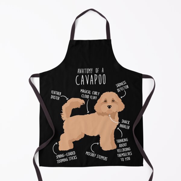 Item preview, Cavapoo Dog Anatomy designed and sold by Clara Hollins.
