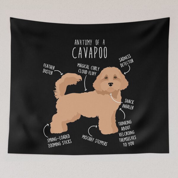 Item preview, Cavapoo Dog Anatomy designed and sold by Clara Hollins.
