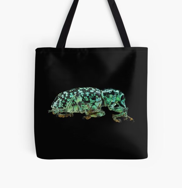 Item preview, Botany Bay Weevil (Chrysolopus spectabilis) designed and sold by BiosecurityColl.