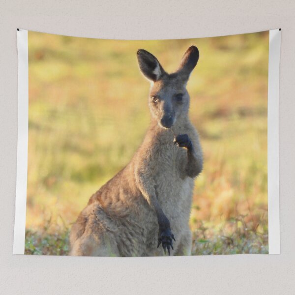 Item preview, Kangaroo chewing away designed and sold by Mark Grimsley.