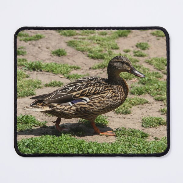 Item preview, Follow Me To the Food! designed and sold by heatherfriedman.