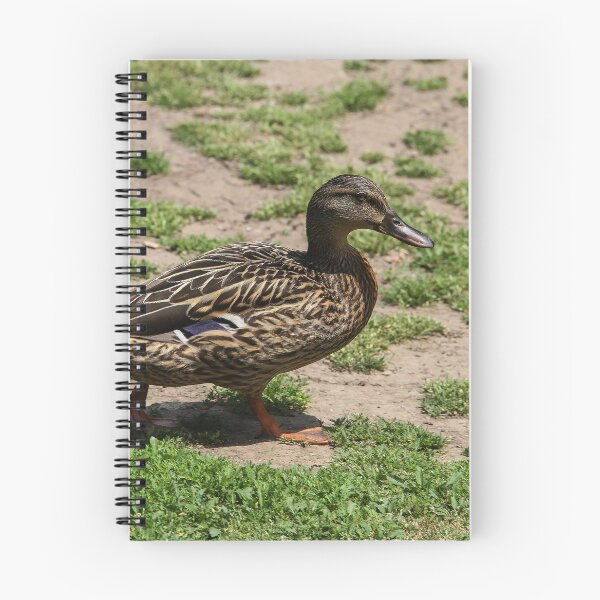 Item preview, Follow Me To the Food! designed and sold by heatherfriedman.