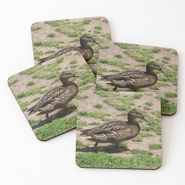 Item preview, Follow Me To the Food! designed and sold by heatherfriedman.