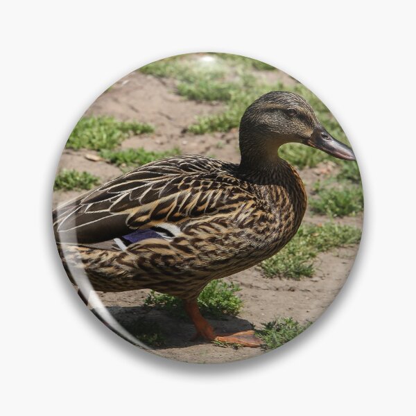 Item preview, Follow Me To the Food! designed and sold by heatherfriedman.