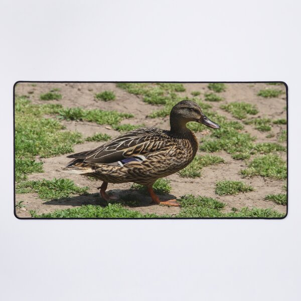 Item preview, Follow Me To the Food! designed and sold by heatherfriedman.