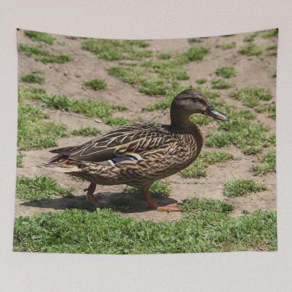 Item preview, Follow Me To the Food! designed and sold by heatherfriedman.